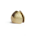 BIG CLAMSHELL ring