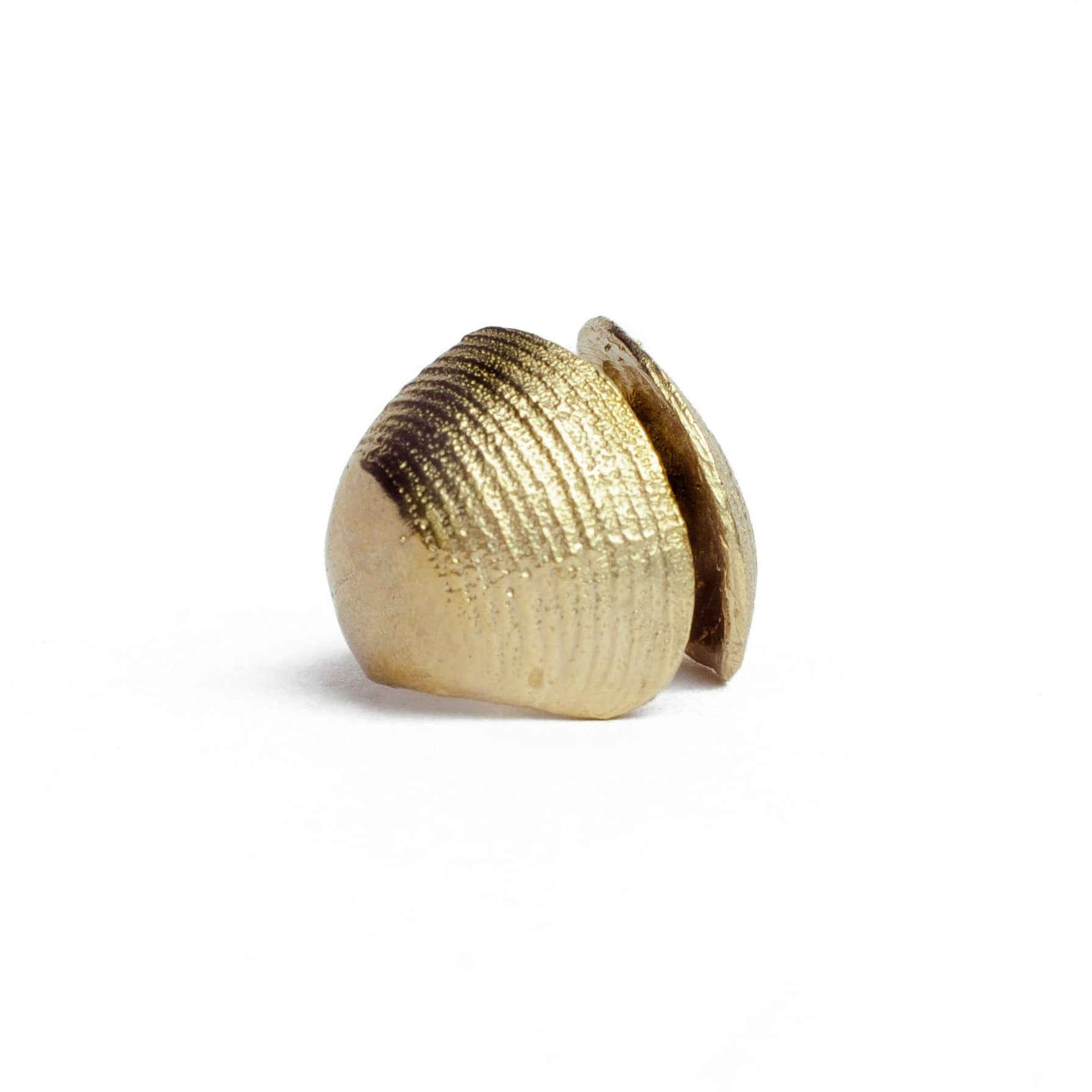 BIG CLAMSHELL ring