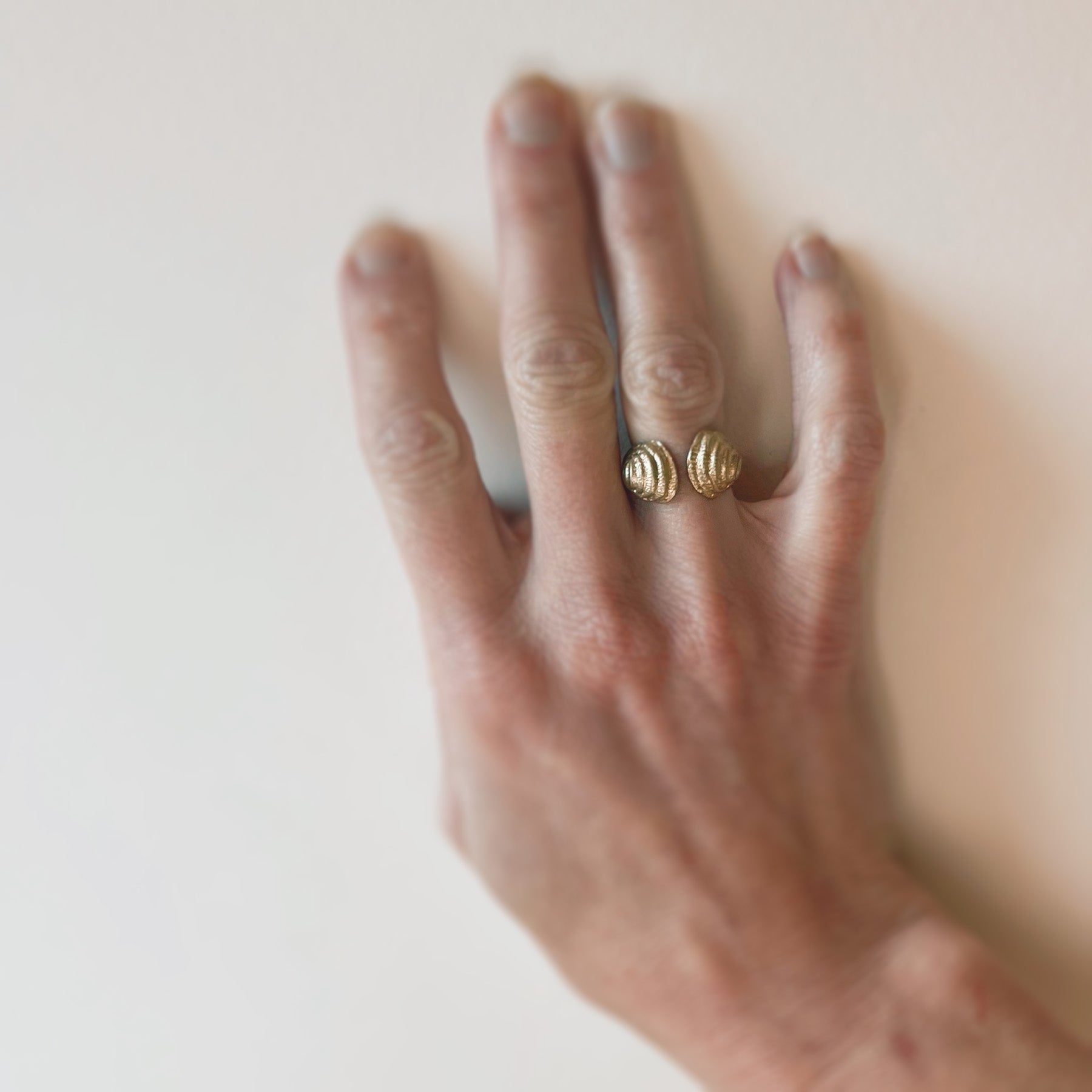 SMALL CLAMSHELL ring