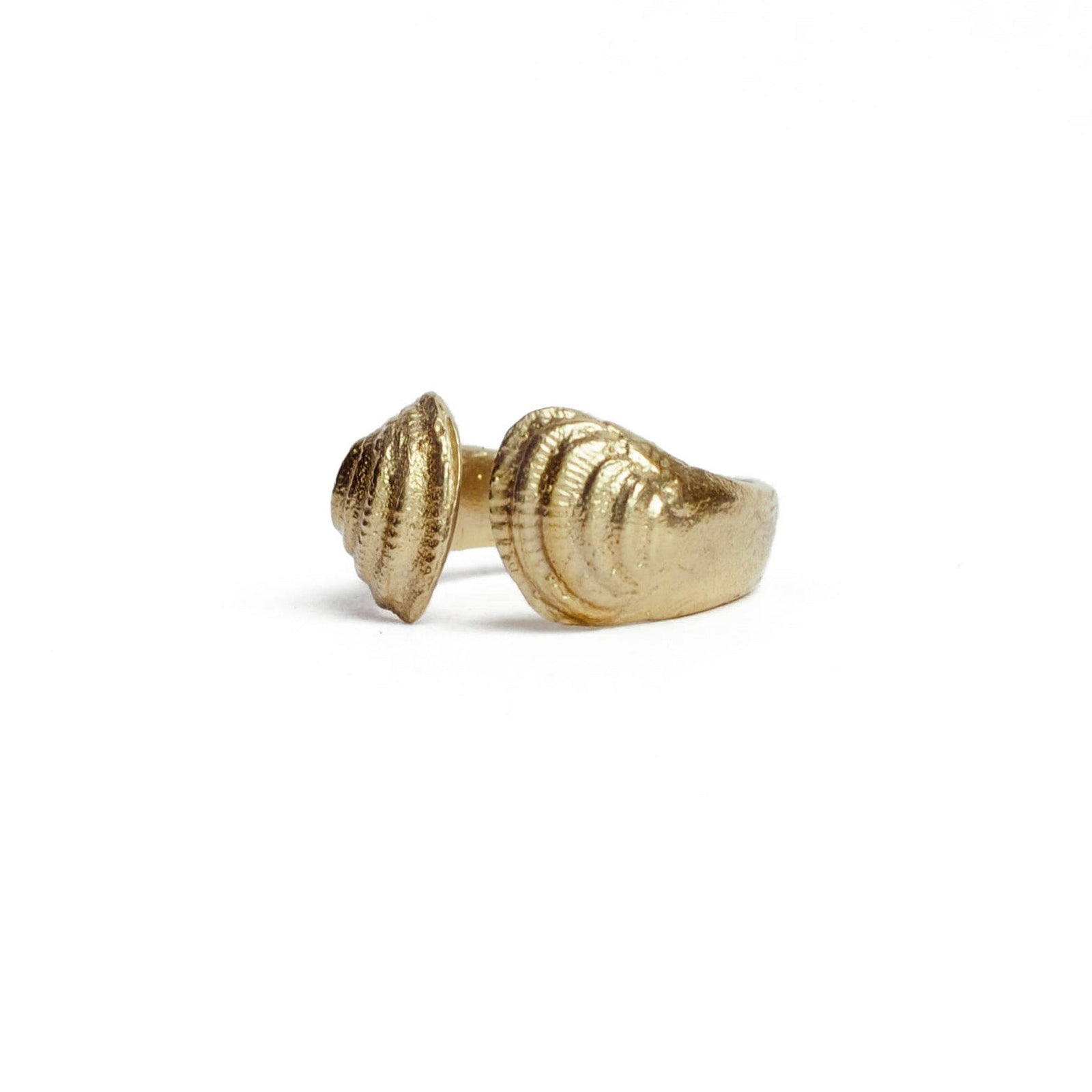 SMALL CLAMSHELL ring